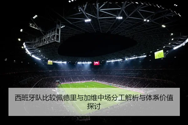 西班牙队比较佩德里与加维中场分工解析与体系价值探讨 | leyu