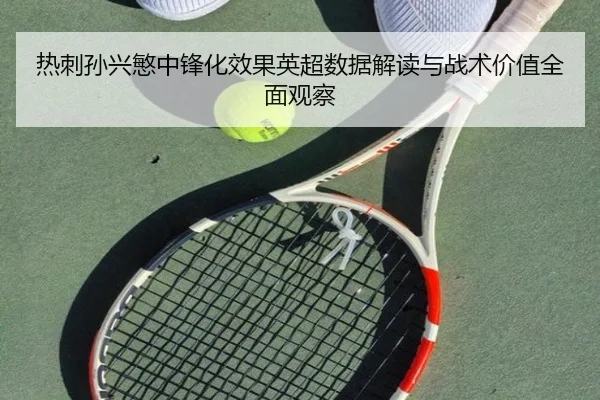 re-ci-sun-xing-min-zhong-feng-hua-xiao-guo-ying-chao-shu-ju-jie-du-yu-zhan-shu-jia-zhi-quan-mian-guan-cha-2-727.jpg