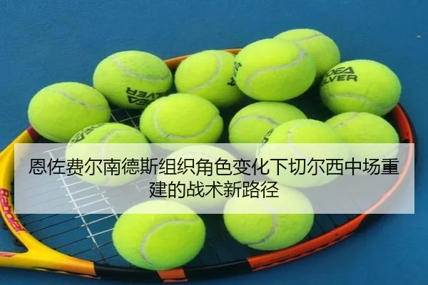 恩佐费尔南德斯组织角色变化下切尔西中场重建的战术新路径（leyu）