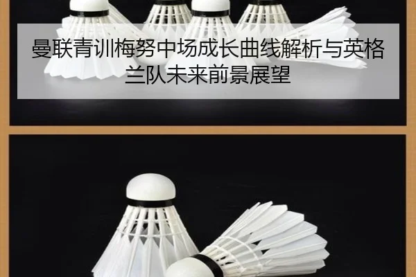 曼联青训梅努中场成长曲线解析与英格兰队未来前景展望 | leyu